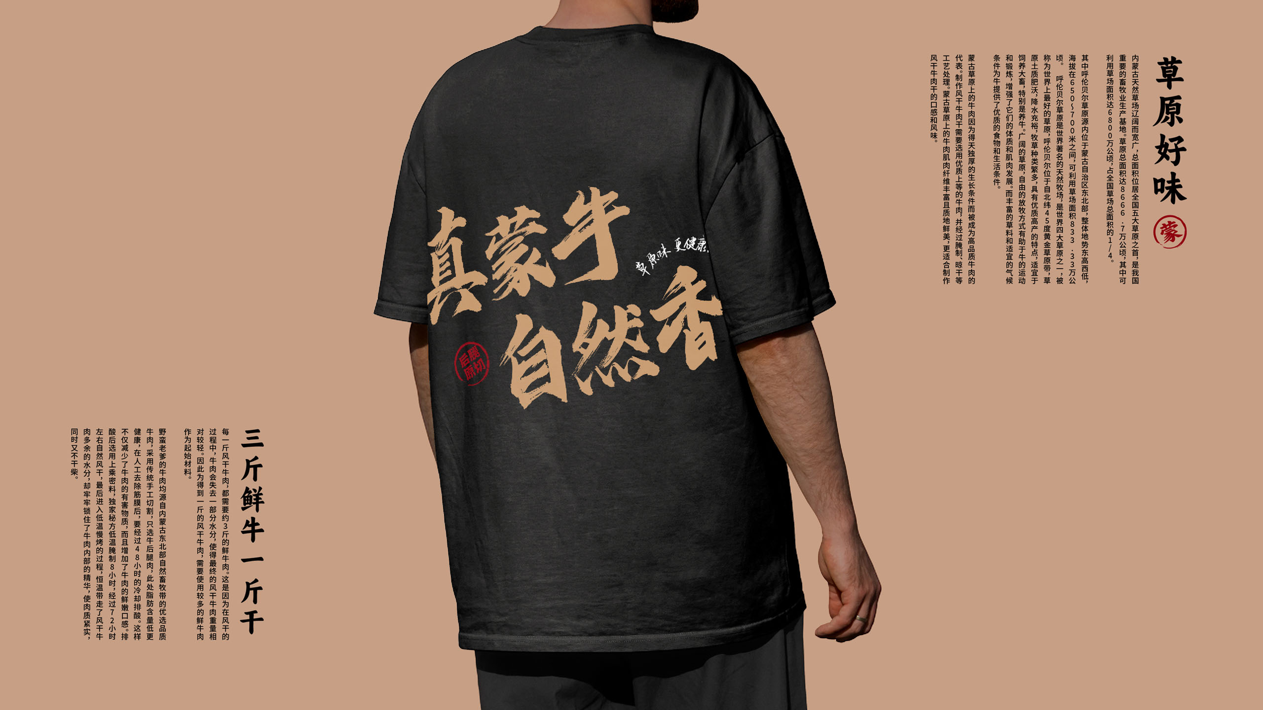 風干牛肉品牌包裝設(shè)計